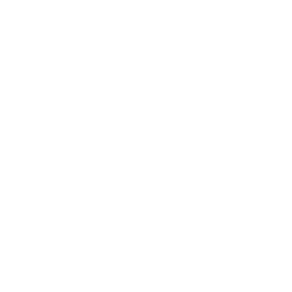 noun-skills-5805646-FFFFFF (1)